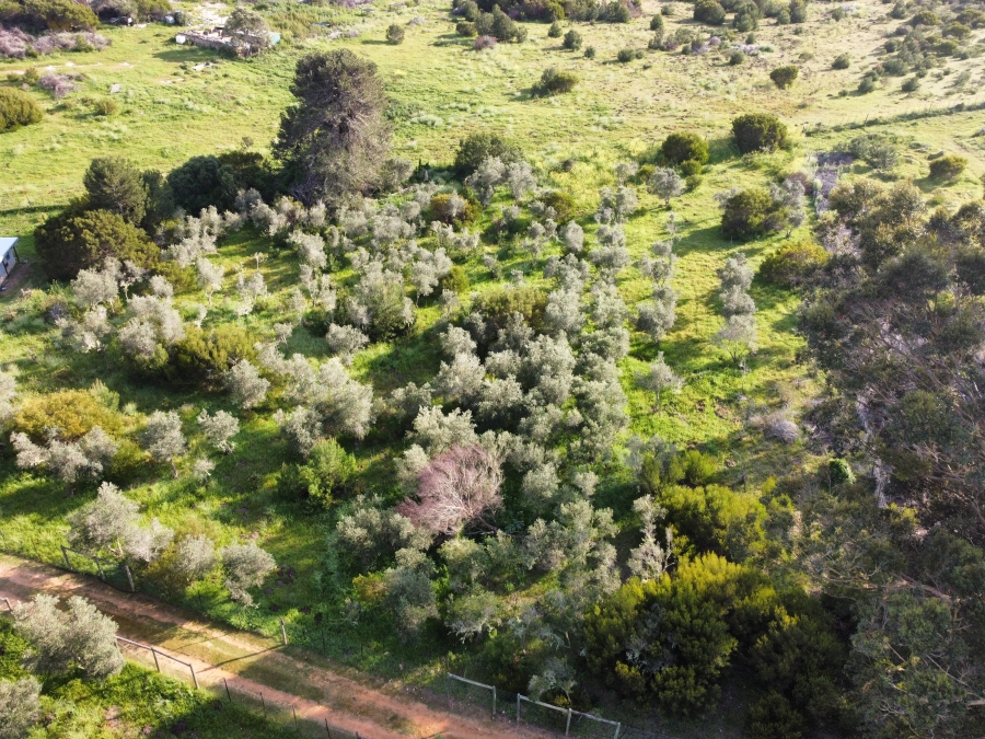 0 Bedroom Property for Sale in Stilbaai Rural Western Cape